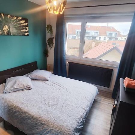 Appartamento Colmar Chaleureux 5 Mn Du Centre T2 Esterno foto